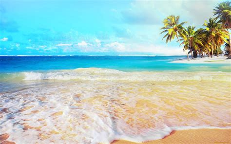 banco de imÁgenes 30 fotos de playas tropicales con agua cristalina sol palmeras y arenas