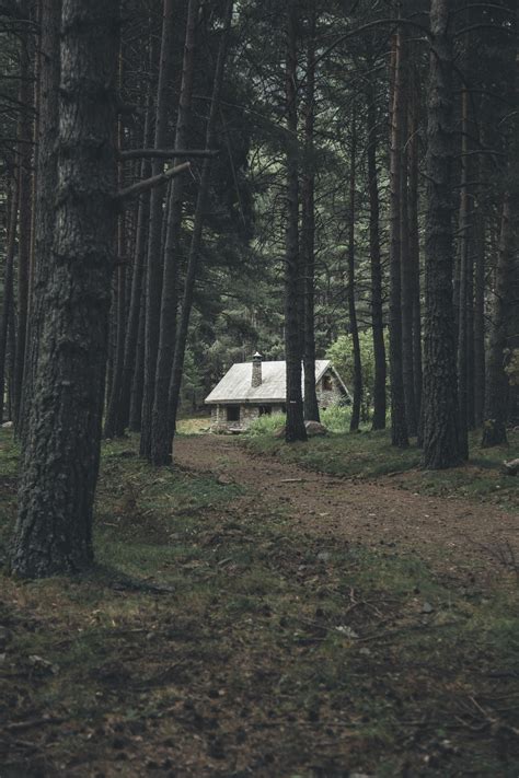 27 Cabin Pictures Download Free Images On Unsplash