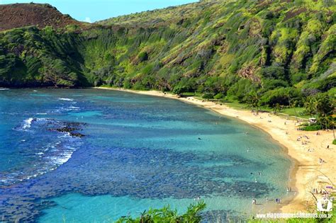 5 Praias Imperdíveis No Havaí Na Ilha De Oahu Viagens Que Sonhamos