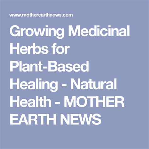 Growing Medicinal Herbs For Plant Based Healing Mother Earth News