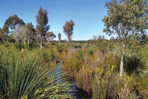 Ephemeral Wetlands Just Add Water Land For Wildlife