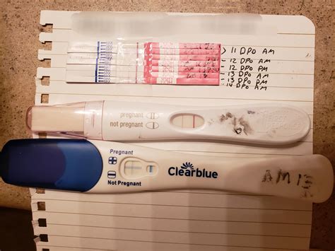 Update Plus Progression Pics 11dpo 14dpo Clinicalguard Frer