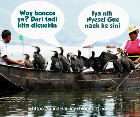 Fantastis 22+ Gambar Lucu Mancing Boncos - Richa Gambar