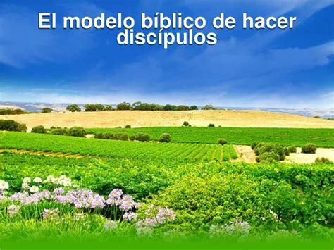 Ppt El Modelo B Blico De Hacer Disc Pulos Powerpoint Presentation
