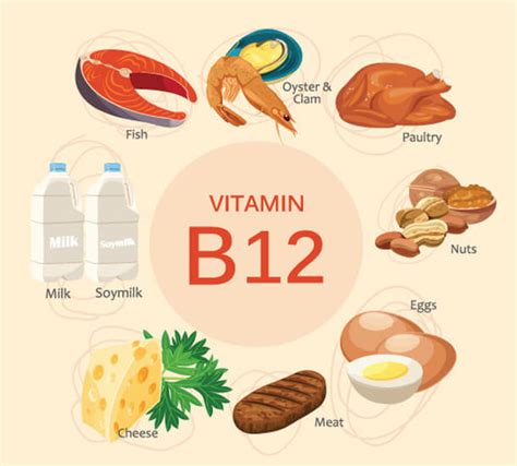 Functions And Sources Of Folic Acid Cobalamin Vitamin B12 And