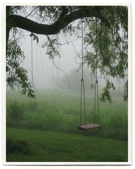 Tree Swing And A Foggy Daytwo Of My Favorite Things Tree Swing