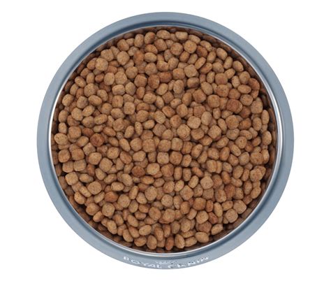 If your dog tends to get gassy or experiences loose stools or vomiting, switching to a sensitive stomach dog food might be worth considering. Best Dog Food for Sensitive Stomach and Diarrhea 2020