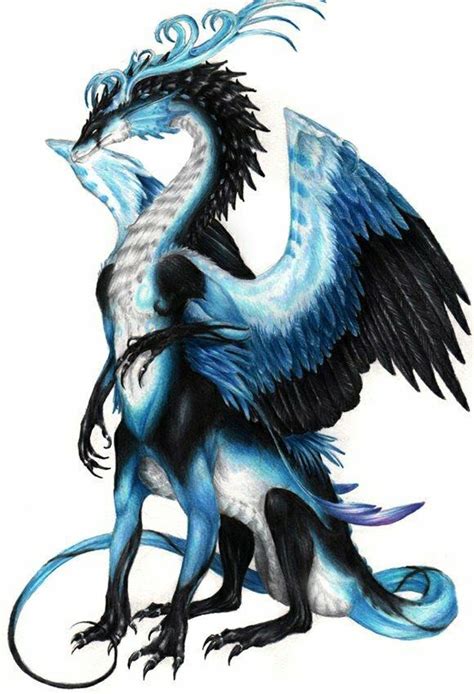 Feathered Dragon 🐲 Dragon Artwork Dragon Pictures Fantasy Dragon
