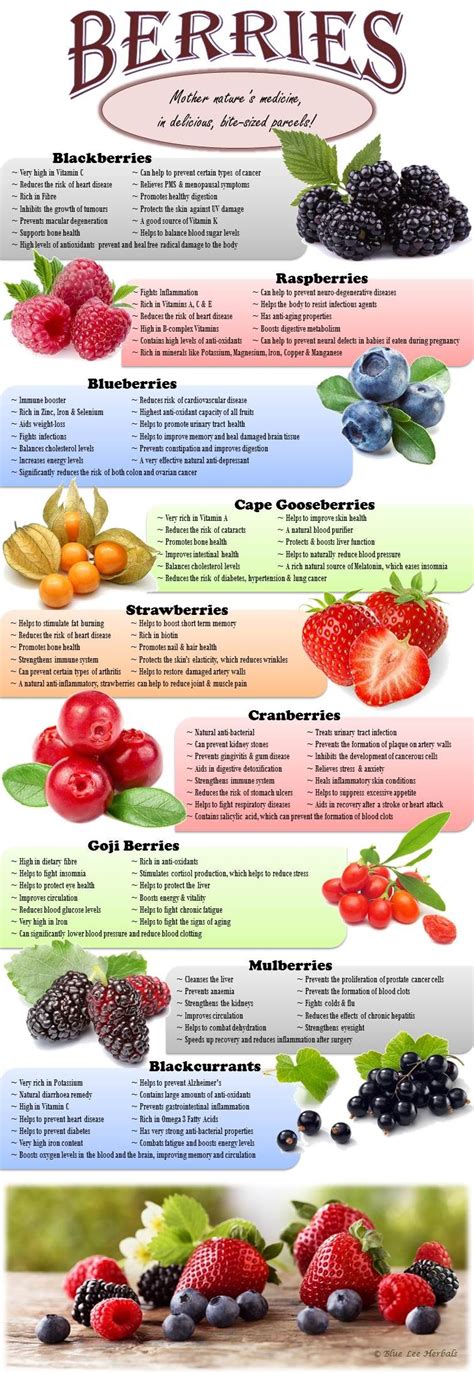 The Benefits Of Berries Benefits Of Berries Goji Berries Benefits