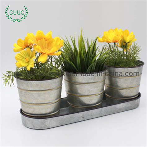 Galvanized Metal Farmhouse Flower Herb Pot Set With Tray China Flower