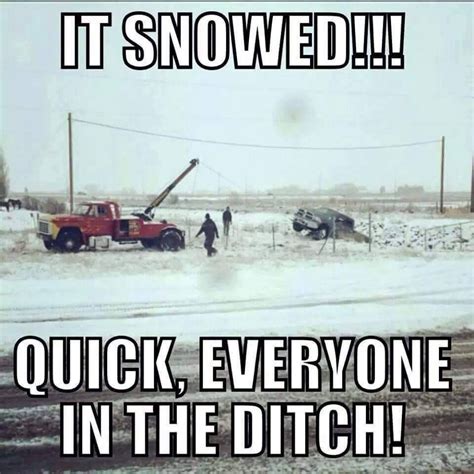 Snow Quotes Funny Funny Images Funny Pictures Funny Pics Strange