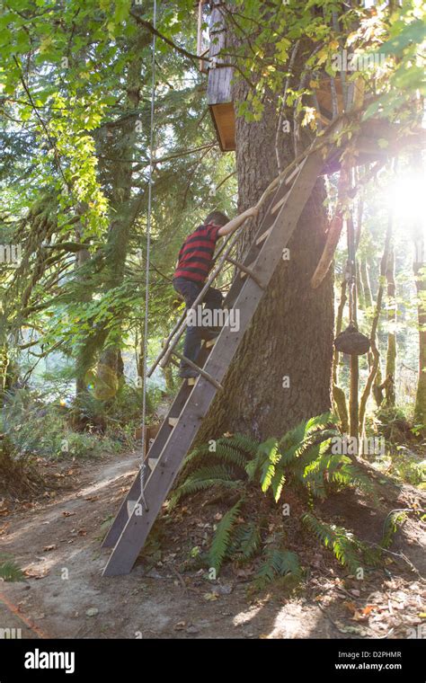 People Climbing Ladder High Resolution Stock Photography And Images Alamy