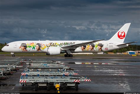 Japan Airlines Boeing 787 9 “arashi Hawaii Jet” Livery Features