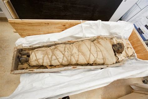 Ct Scans Reveal Plaques Beneath Mummys Wrappings Egyptian Mummies