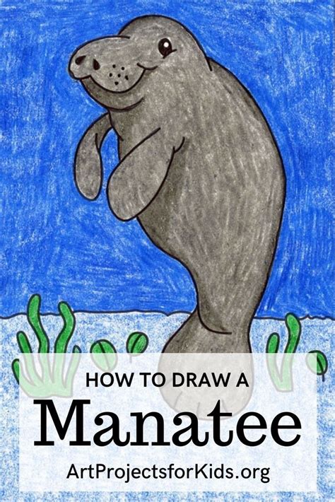 Learn How To Draw A Manatee With An Easy Step By Step Pdf Tutorial
