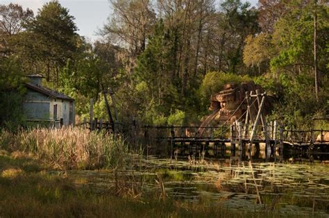 Photos Of An Abandoned Disney World Being Reclaimed By Nature PetaPixel