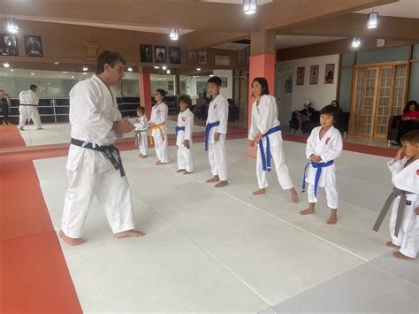 Aula De Karate Para Crian As E Adolescentes Em Cotia Sp