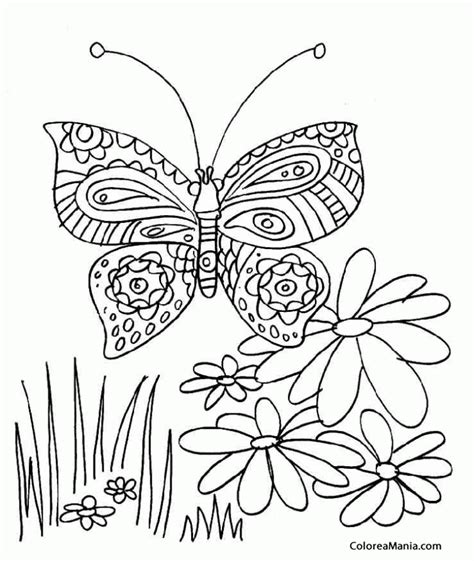 Dibujo De Mariposas Y Flores Para Colorear Dibujos Infantiles De Porn
