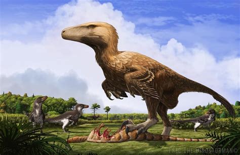 Daily Paleontology Post 34 Raptors Rforsen