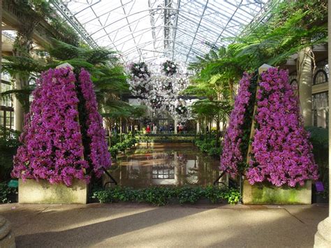 Love Joy And Peas Orchid Extravaganza At Longwood Gardens