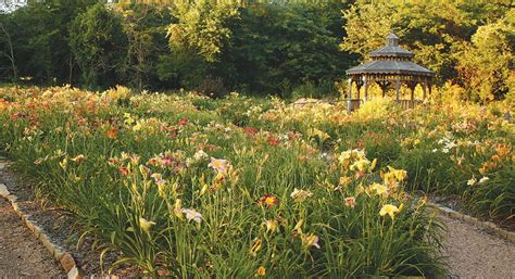 Tme betterhomes & other tme service names. Gardens in Springfield, MO