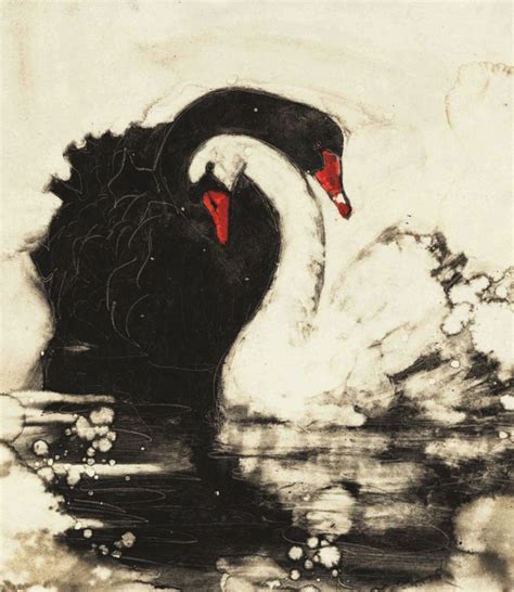 Cover Art Of Black And White Swan Cover Of Swan Lake