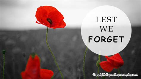 Remembrance Day Wallpapers And Images For Whatsapp And Facebook
