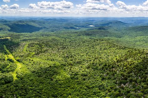 3500 Acres Of Southern Vermonts Glebe Mountain To Join Federal