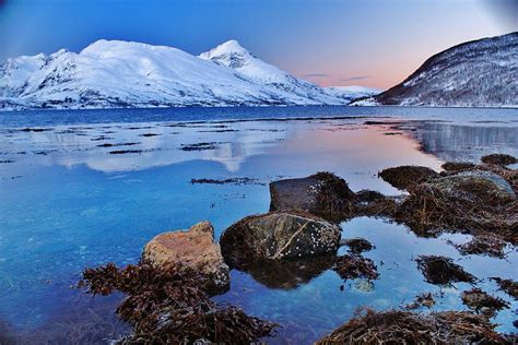 Arctic Winter Fjordland Twilight Photograph By David Broome Pixels