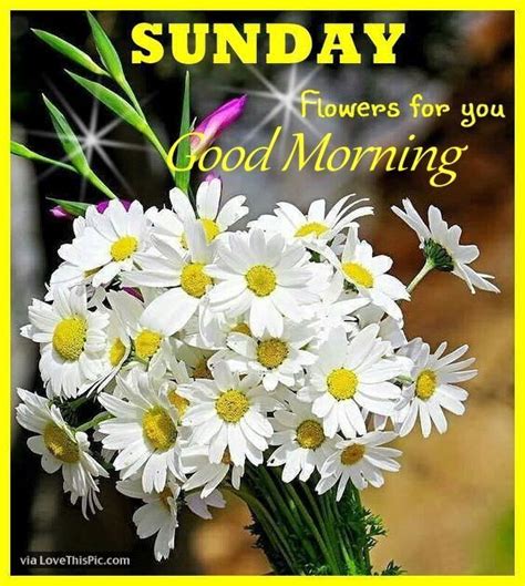 If you love these amazing good morning happy sunday wishes, quotes and status images, feel free to share it with everyone. Sunday Flowers For You Good Morning | Good morning flowers ...