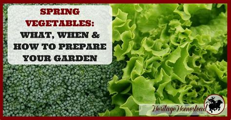 Slow and steady wins the race and the same rule applies when it comes to how to prepare for a power outage? Spring Vegetables: What, When & How to Prepare Your Garden