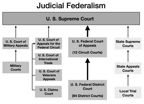 Chapter 32 Paths To The Supreme Court Attenuated Democracy