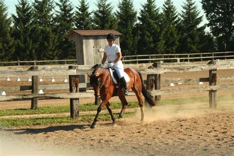 Fire Fly Stables Flamborough Horseback Ridingequestrian