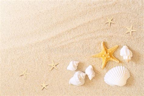 Seashells And Starfish On The Sand Background Summer Beach Stock