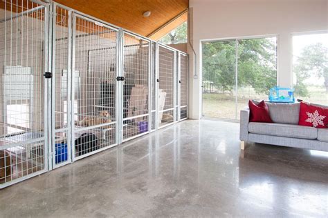 Chic Indoor Dog Kennels In Modern Austin With Dog Door Next To Dog Run
