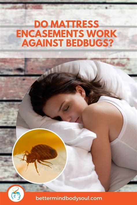 Bedbugs Have Been Problems For Thousands Of Years And No Matter How