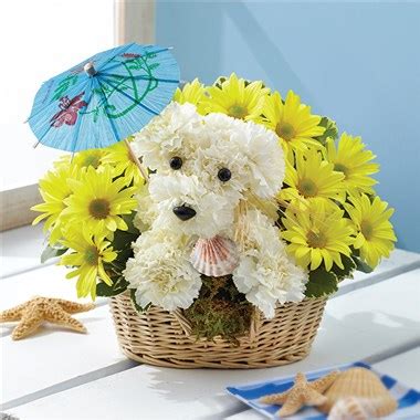 * from classic to unique, we offer many different flower types such as roses, carnations, tulips, sunflowers, orchids, lilies, daisies, mixed bouquets, and many. 1-800-Flowers® Doggie Paddle™ | 1-800-Flowers - Carle Place