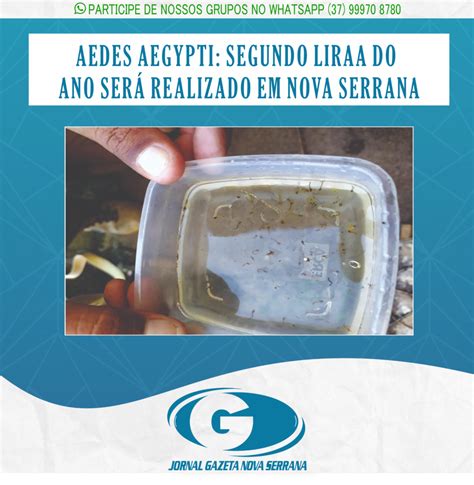 Aedes Aegypti Segundo Liraa Do Ano SerÁ Realizado Em Nova Serrana Jornal Gazeta De Nova Serrana