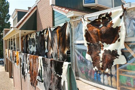 Having admired art hide rugs for quite some time but not having quite the right space for such a magnificent piece, i was beyond excited to discover that they offer a bespoke service where we were. How to Care for Cowhide Rugs | Cowhides International ...