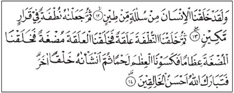 Maybe you would like to learn more about one of these? Surat Al-Mukminun Ayat 12-14 (Proses Kejadian Manusia ...