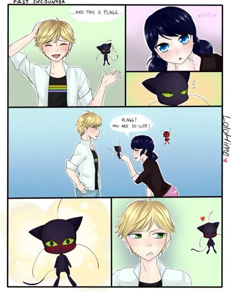 1000 Images About Miraculous Ladybug On Pinterest Cats