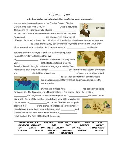 Darwins natural selection worksheet name read the following situations below and identify the 5 points of darwin s natural selection. Darwins Natural Selection Worksheet Answers : Pin On ...