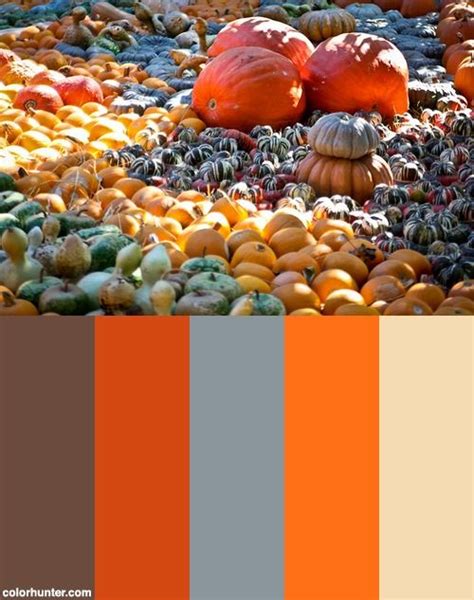 Pumpkin Patch Color Palette Pumpkin Patch Pumpkin Color