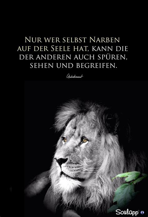 Kriegt absolut nicht in den schädel. Pin on Tatsachen