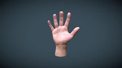 Human Hand 3d Model Free Download Blender Atompase