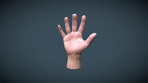 Male Hand Download Free 3d Model By Lassi Kaukonen Thesidekick