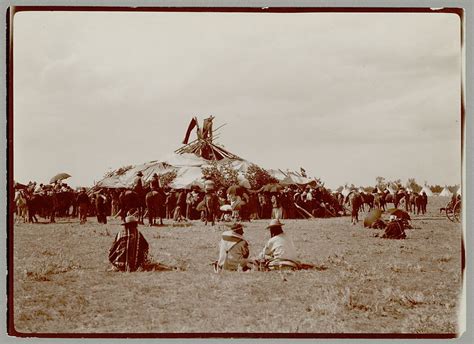Assiniboine Sundance Preparations 1906 Y Native American Photos