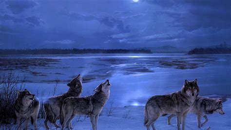 Download Winter Night Animal Wolf Hd Wallpaper