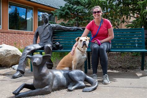 Donations helps for food and vet visits. A second 'Chance' for abandoned pets | SummitDaily.com