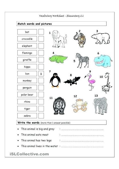 animals worksheets  grade  wild  kindergarten preschoolers pet